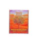 Olive Leaf Tea Lemon Grass | Pack of 15 | Olitia